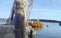 Trapped, Performance, Fishing net, Environmental Art, Trash Art