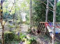 installation, lost civilisation, the power of nature, landart, experimental art