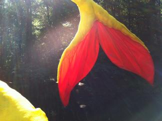 Melusine, installation, sustainable art, recycling, harmed nature by humans, plastic garbage, romantic, forest art