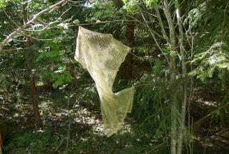 lost civilisation, landart, power of nature, surching for traces