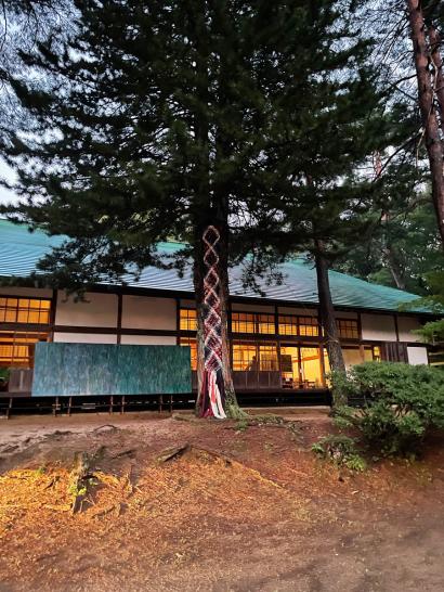 Fire Water Snake, Thetis, made from used Kimonos, Shinano Hall, Shinao Omachi Japan